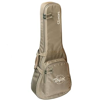 Taylor GS Mini PU付　アコースティックギター ケース付き GS Mini Series、アコースティックギター、トラベルタイプ